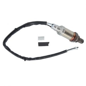 OXYGEN SENSORS